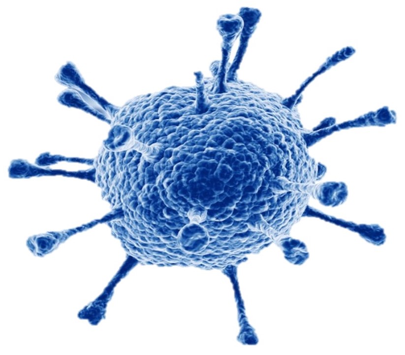 single virus 5